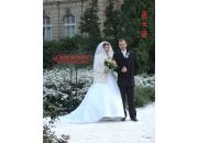  "Wedding_DB"