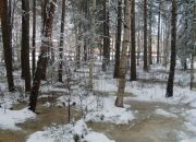 Альбом "Пейзаж"