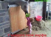  ""