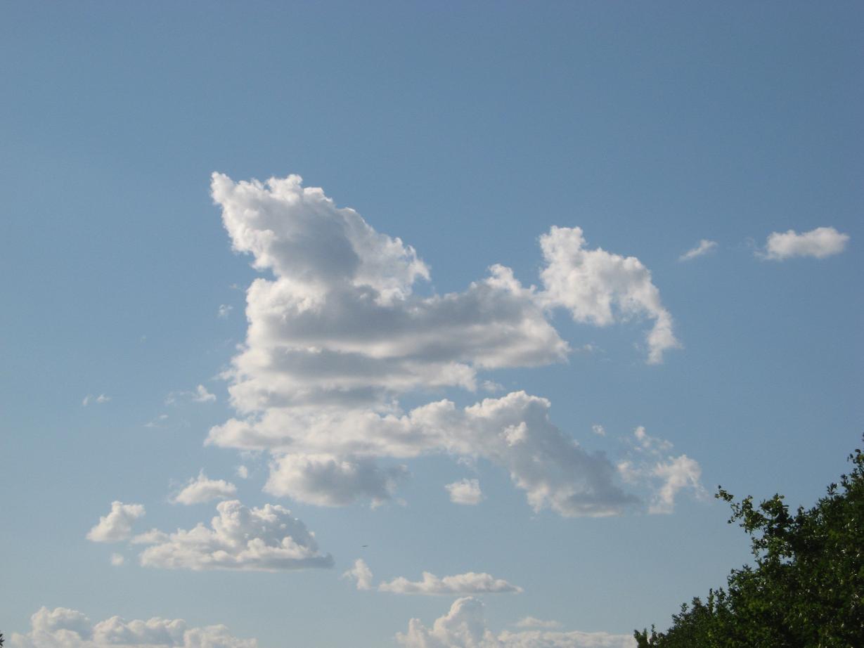 Облака белокурые лошадки