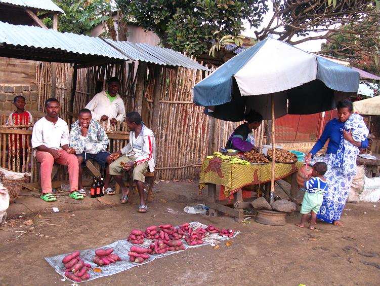 Пара месяцев жизни. Мадагаскар. Июль-август 2008.