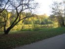 IMG 0026
