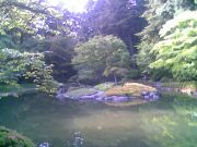 japanese garden2