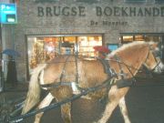 Brugge 106