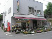 P6250418