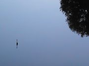 PIC 0765