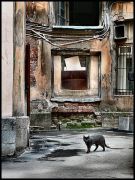 ������ ���� - 1 