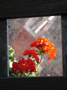 PICT0353