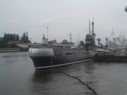 IMGP7361