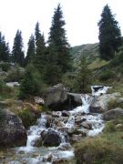 DSCF1026