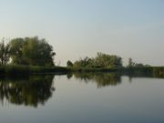 Volga5