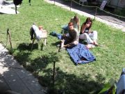 IMG 2849m