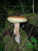 DSCN9018