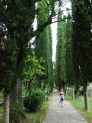 DSCF2694 r