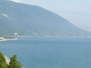DSCF2710