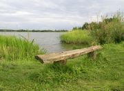 Pano 0