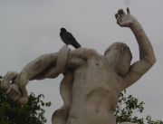 DSC04046 