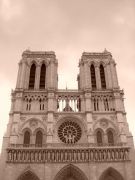   /Cathedrale Notre Dame de Paris