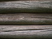 IMG 4560