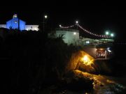 IMG 0239