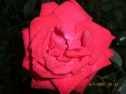 CIMG0907