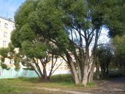 Улицы