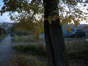 Просто стрёмная фотка