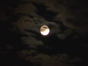 DSC00158