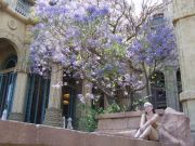 sun city