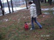 PICT0038