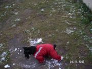 PICT0051