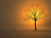 winter time # 1