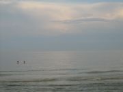 IMG 0690