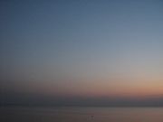 IMG 1394
