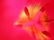 DSCN9843 ()