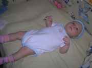 DSCN6533