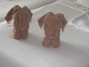 IMG 0287