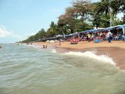 IMG 0484