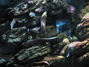 IMG 0749