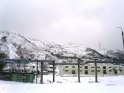 -2008 303