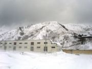 -2008 305