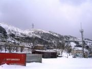 -2008 309