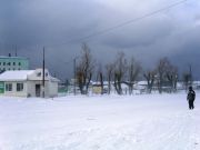 -2008 311