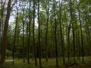 Bild 096