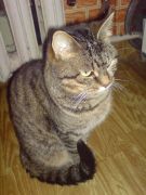 DSC00182