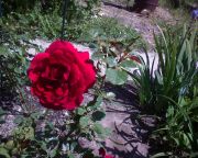 DSC00102