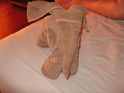 IMG 1323