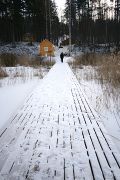 IMG 7377