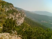 Image(019)