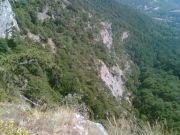 Image(021)